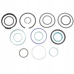 Seal set g001990010710 fendt