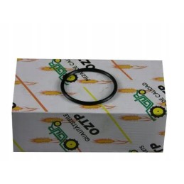 Lifter shaft seal ring mf3 mf4