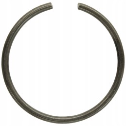 Expansion ring 71806219 granite