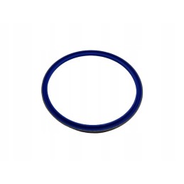 Sealing ring r204876