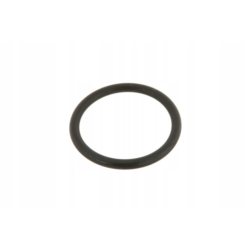 Vkh4961 rear actuator o-ring