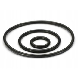 O-ring 125 3
