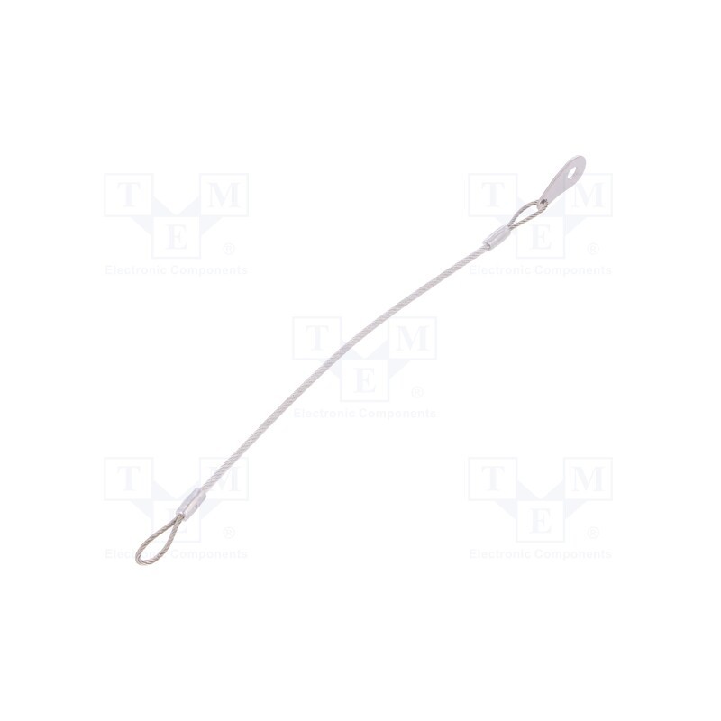 1 pcs x ELESA+GANTER - GN 111.2-200-E-TR - Retaining cable, Plating: PVC, stainless steel, 200mm