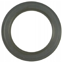 Sealing ring