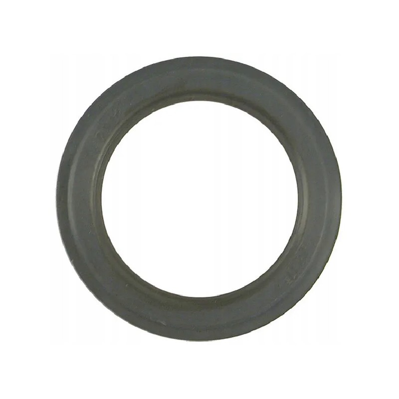 Sealing ring
