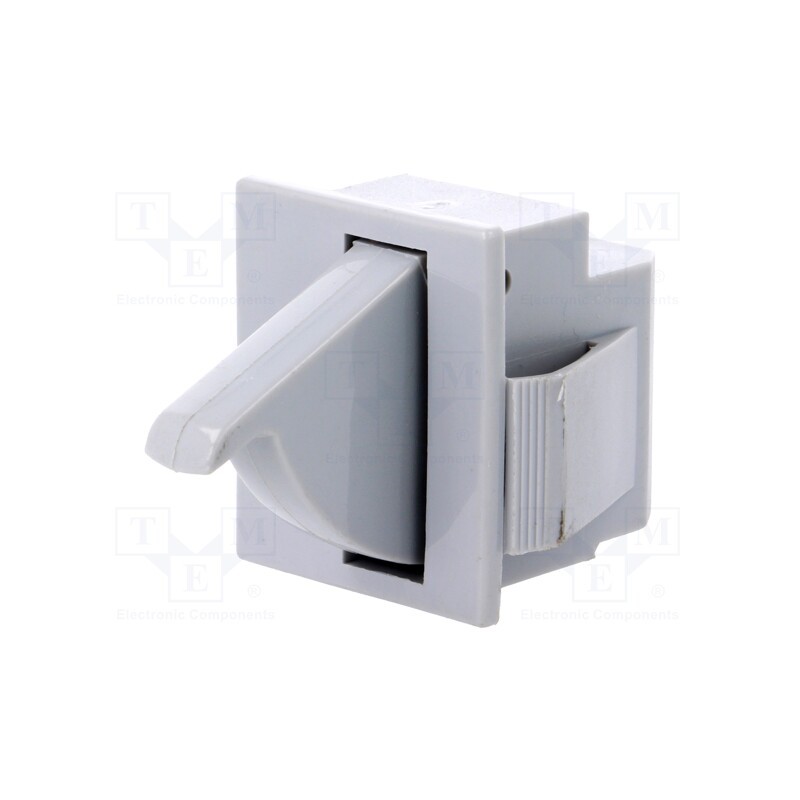 1 pcs x BULGIN - E3111CAG - Switch: door, Pos: 2, SPDT, 5A/250VAC, Leads: connectors 4,8x0,5mm