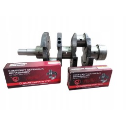 Crankshaft set, main connecting rod bearings T25