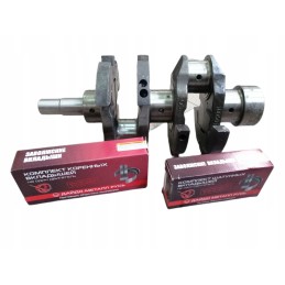 Crankshaft set, main connecting rod bearings T25