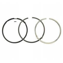 Set of engine piston rings nominal q 10