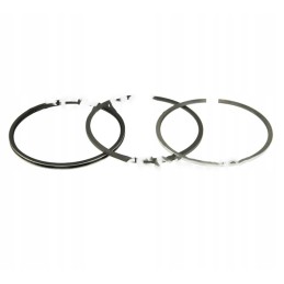 Set of engine piston rings nominal q 10