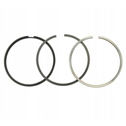 Set of engine piston rings nominal q 10