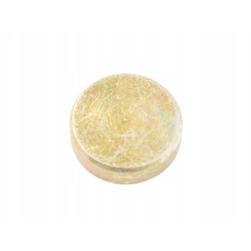 Bizon gearbox guide plug 5040240450 5