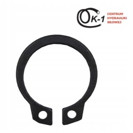 External retaining ring seeger z15 1000 pieces