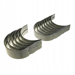 Main bushings SW 400 6 cyl 6ct107 nom std thm set