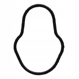 Oring case ih 38017825 2830156 granite