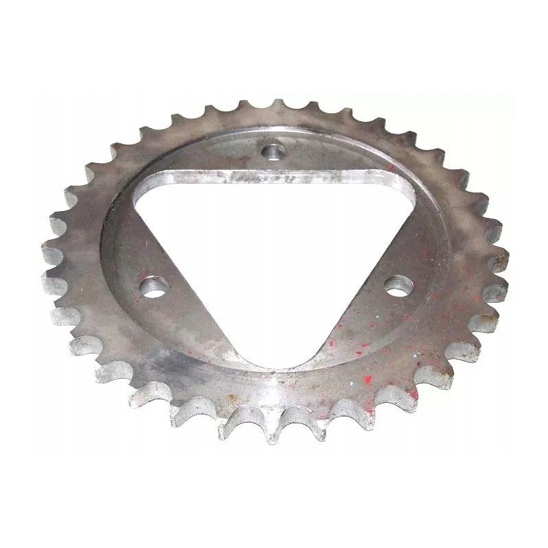 Circle with triangle bison from 34