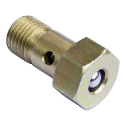 Fuel pump check valve m14 tir bus agro