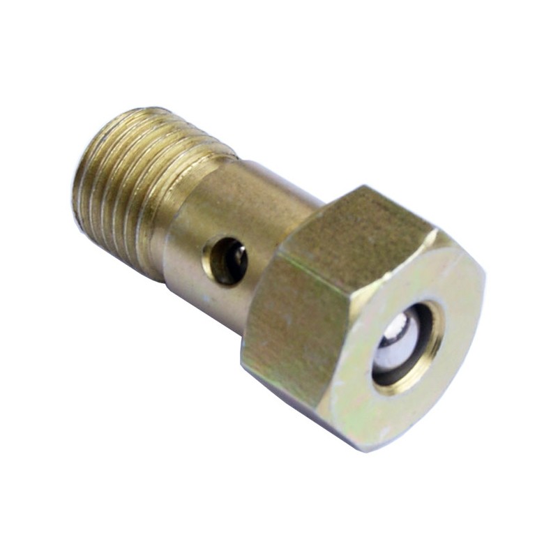 Fuel pump check valve m14 tir bus agro