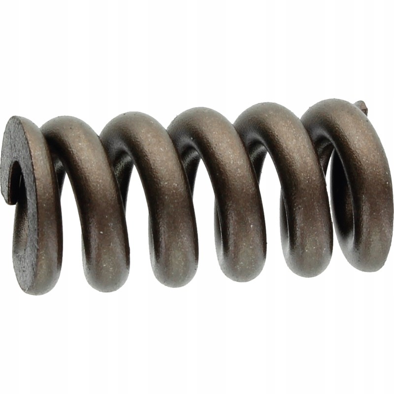 Walterscheid pressure spring