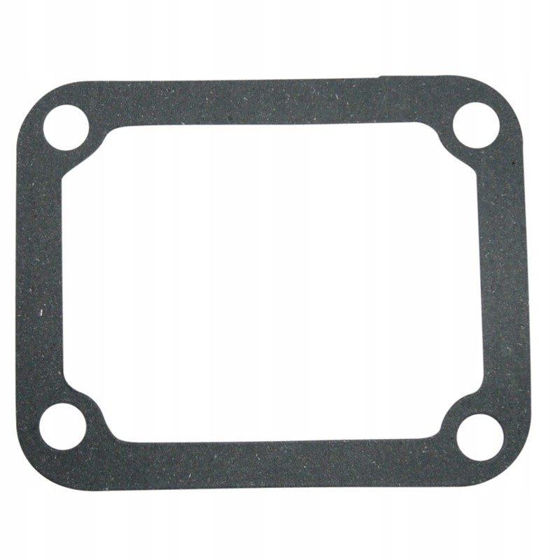 Side head cover gasket 80005022