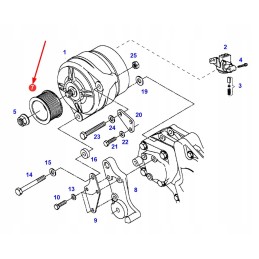 F926900010020 alternator pulley