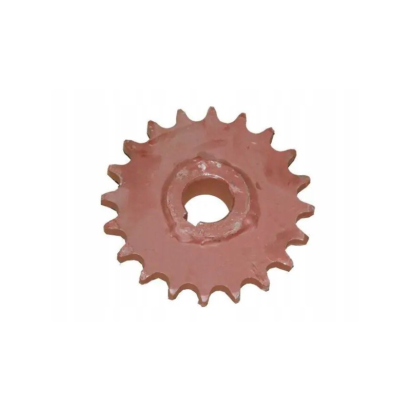 Chain wheel with 20 bison