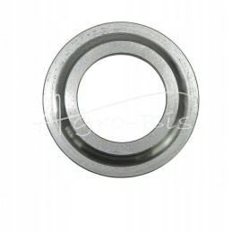 Zetor limit ring