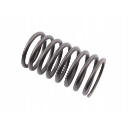 Valve inner spring c 385 89005502