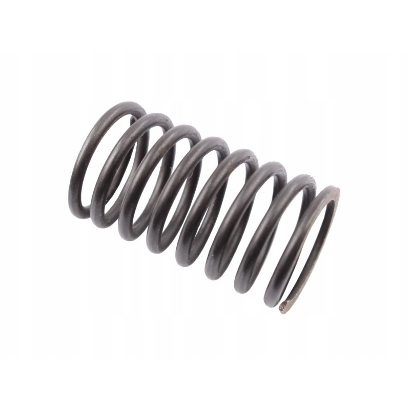 Valve inner spring c 385 89005502