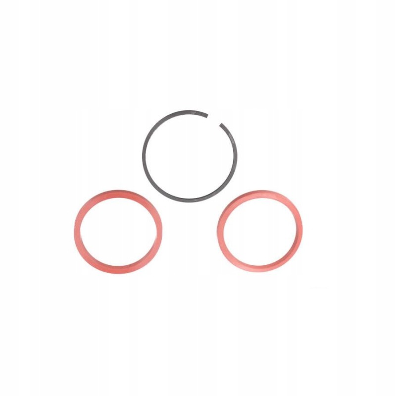 Lifting rings set c 360 original ursus