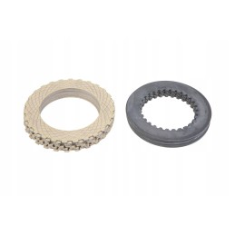 G001990200590 set of friction discs