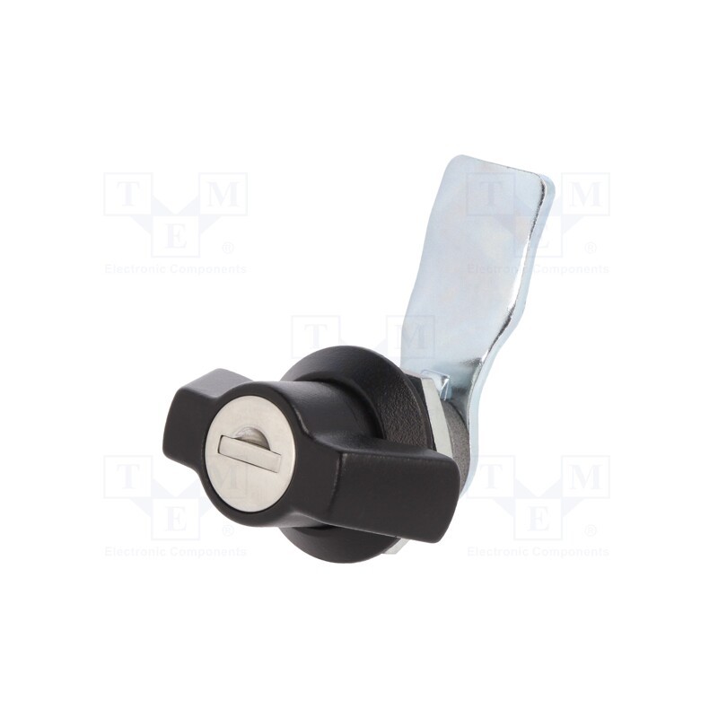 1 pcs x ROZTOCZE - 2.PM18.002-21 - Lock, zinc and aluminium alloy, 21mm, black finish, Kit: key x2