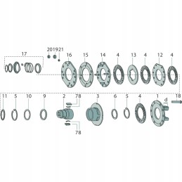Leaf spring 48 x 5 mm 332185
