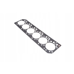 6005021491 engine head gasket