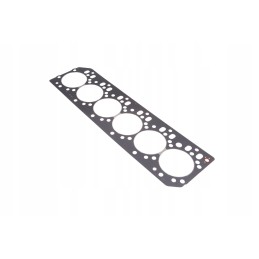 6005021491 engine head gasket