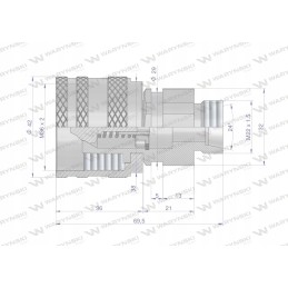 Screwed hydraulic quick connector, M22x1 plug 5