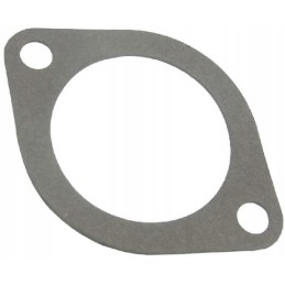 Thermostat housing gasket