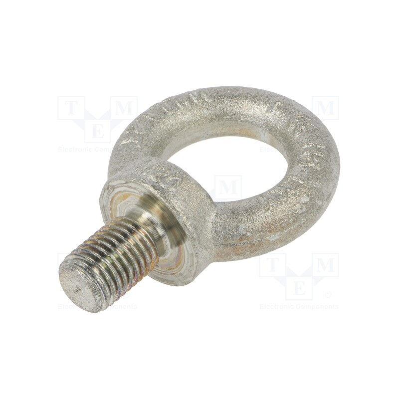 1 pcs x ELESA+GANTER - DIN 580-M20-ST - Lifting eye bolt, M20x30, Head: eye, steel, zinc, DIN 580, Ø: 40mm