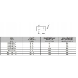Two-way manual ball valve rs 2 g3 8