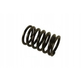 Valve spring mf