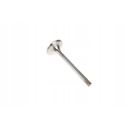 F199200210050 exhaust valve