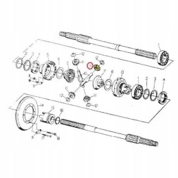 Differential gear satellite C 330 original Ursu