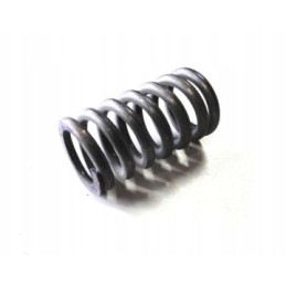 Bison clutch spring 504025031