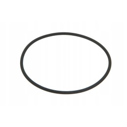 Pis07010077 O-ring