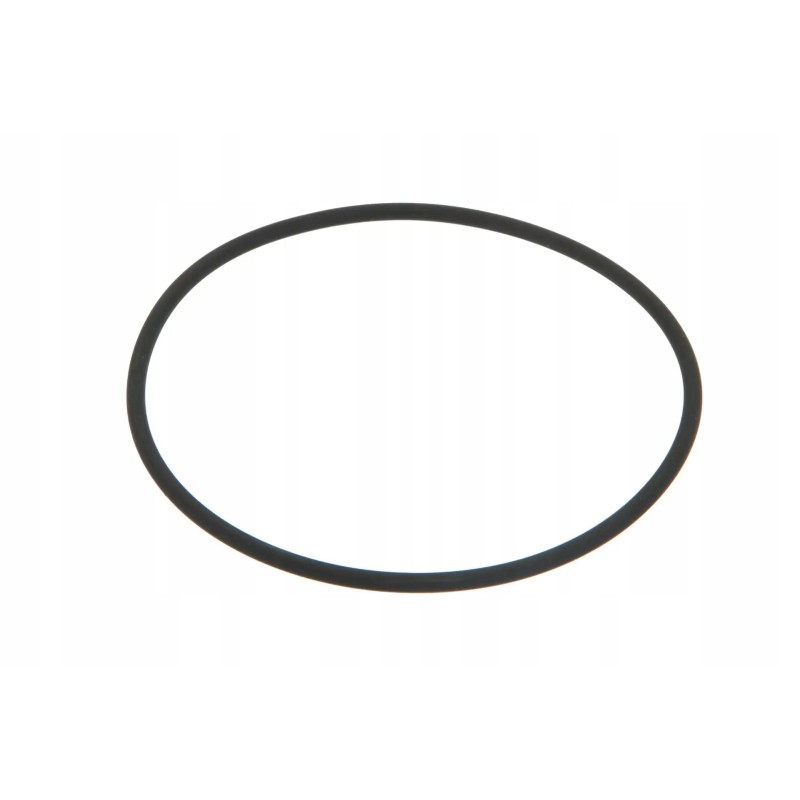 Pis07010077 O-ring