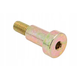 P5s43104109 Allen screw M10