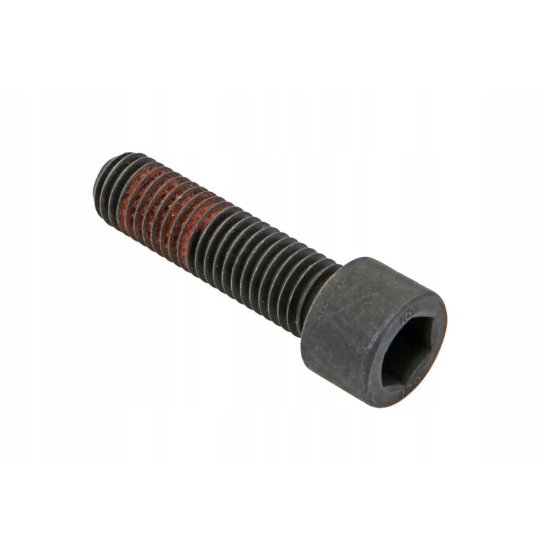 3016535x1 Allen screw M12 x 45