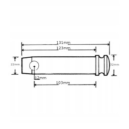 Pin pin 22x103 mm category 1