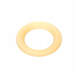 Fendt O-ring seal scraper f138314020611