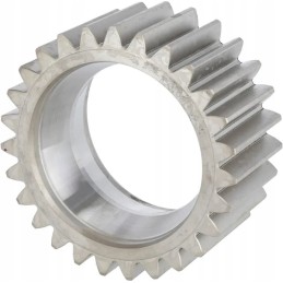 Differential gear pinion